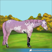 Horse Color:Watercolor Bay Ice Dun Tobiano 