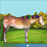 Horse Color:Painted Buckskin Onyx 