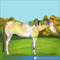 Horse Color:Painted Buckskin Onyx Tobiano 