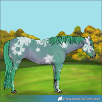 Horse Color:Watercolor Bay Ice Dun Tobiano 