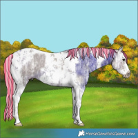 Horse Color:Painted Silver Grullo Ice Splash Tobiano Frame