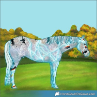 Horse Color:Thunderstruck White Spotted Silver Grullo Ice Splash 