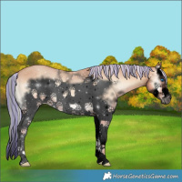Horse Color:Void Painted White Spotted Silver Classic Champagne Onyx Splash Frame 