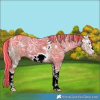 Horse Color:Painted White Spotted Silver Grullo Ice Splash Frame 
