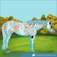 Horse Color:Thunderstruck White Spotted Silver Grullo Ice Splash Frame 