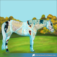 Horse Color:Thunderstruck Silver Grullo Ice Splash Tobiano 