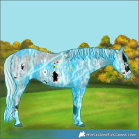 Horse Color:Thunderstruck White Spotted Silver Grullo Ice Splash 