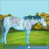 Horse Color:Thunderstruck White Spotted Grullo Ice Splash Frame 