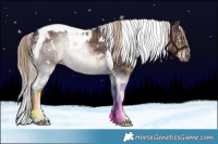 Horse Color:Plaid  White Spotted Liver Chestnut Tobiano 