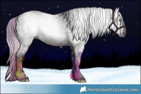 Horse Color:Gray Void Plaid  White Spotted Liver Red Dun Roan Rabicano 