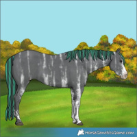 Horse Color:Painted White Spotted Black Ice