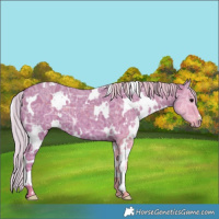 Horse Color:Watercolor White Spotted Silver Black Ice 