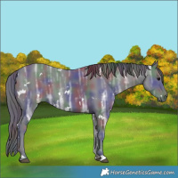 Horse Color:Nacre White Spotted Black Ice 