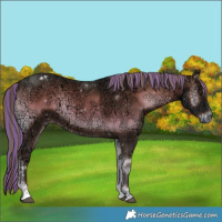 Horse Color:Painted Liver Red Onyx Ice Tobiano 