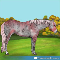 Horse Color:Watercolor Chocolate Palomino Ice Onyx Sabino