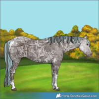Horse Color:Painted Liver Chestnut Ice Tobiano 