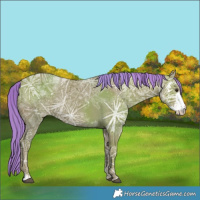 Horse Color:Watercolor Liver Chestnut Ice Sabino 