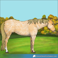 Horse Color:Watercolor Liver Chestnut Ice Sabino 