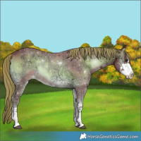 Horse Color:Watercolor Liver Red Onyx Ice Sabino 