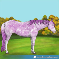Horse Color:Watercolor Liver Chestnut Ice Tobiano 
