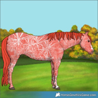 Horse Color:Watercolor Liver Chestnut Ice Sabino 