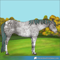 Horse Color:Painted Liver Chestnut Ice Tobiano 