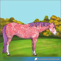 Horse Color:Watercolor Liver Chestnut Ice Sabino 