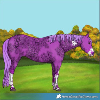 Horse Color:Watercolor Liver Red Dun Ice Sabino 