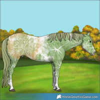 Horse Color:Watercolor Liver Chestnut Ice Tobiano 