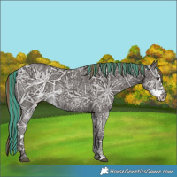 Horse Color:Painted Liver Chestnut Ice Sabino 