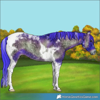 Horse Color:Watercolor Liver Red Onyx Ice Tobiano 