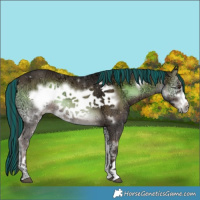 Horse Color:Painted Liver Red Onyx Ice Sabino Frame 