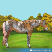 Horse Color:Watercolor Liver Red Onyx Ice Tobiano 