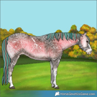 Horse Color:Painted Liver Red Onyx Ice Sabino 