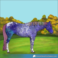 Horse Color:Watercolor Liver Chestnut Ice Tobiano 