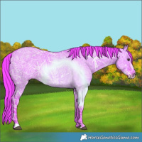 Horse Color:Watercolor Liver Red Dun Ice Sabino 