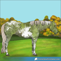 Horse Color:Watercolor Chocolate Palomino Ice Tobiano 