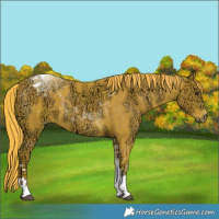 Horse Color:Watercolor Liver Chestnut Ice Tobiano 