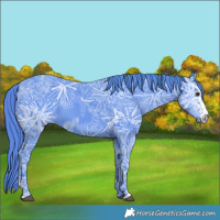 Horse Color:Watercolor Liver Chestnut Ice Sabino 