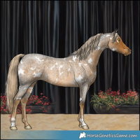 Horse Color:White Spotted Chocolate Palomino Roan Mushroom Rabicano 