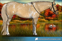 Horse Color:White Spotted Chocolate Palomino Dun Mushroom Tobiano