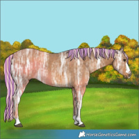 Horse Color:Painted Chocolate Palomino Ice 