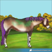 Horse Color:Painted Liver Red Onyx Sabino 