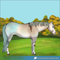 Horse Color:Painted Liver Red Dun Onyx 