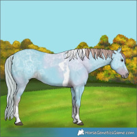 Horse Color:Watercolor Liver Chestnut Ice Tobiano 