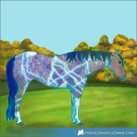 Horse Color:Thunderstruck Liver Red Dun Ice Tobiano 