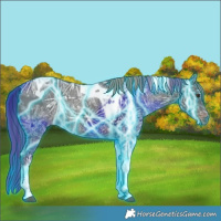 Horse Color:Thunderstruck Liver Chestnut Ice Tobiano Rabicano 