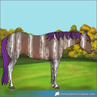 Horse Color:Painted Liver Chestnut Ice 