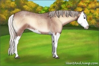 Horse Color:Silver Bay Roan Onyx Splash 