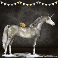 Horse Color:White Spotted Silver Smoky Grullo Splash 